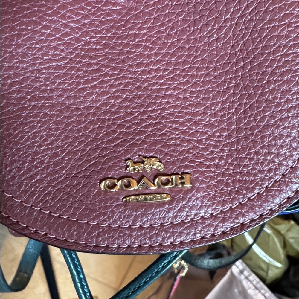 NWOT Coach Pennie Backpack 22” Colorblock Sport Blue Multi - Picture 11 of 13